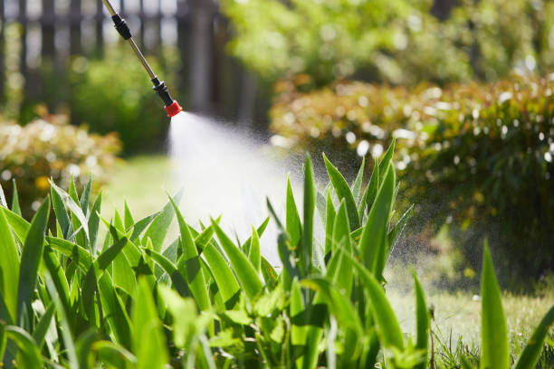 Tamper-Resistant Bait Stations for Rodents in Framingham