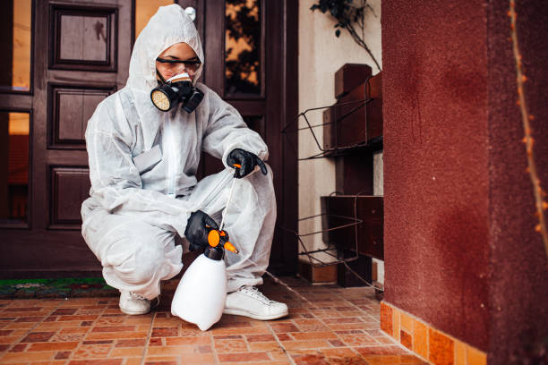 Attic and Crawl Space Rodent Treatment in Framingham